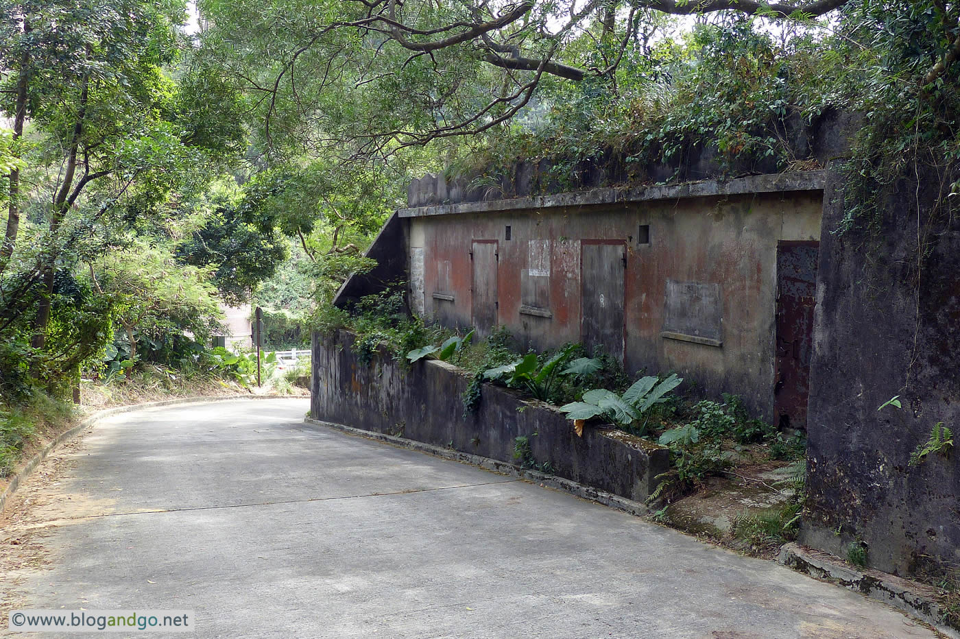 Wong Nai Chung - AA Magazine